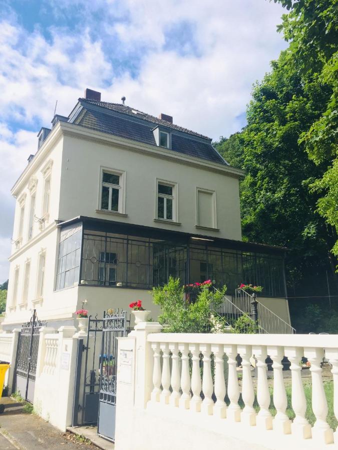 רמאגן A&S Ferienwohnungen Villa Berlin מראה חיצוני תמונה